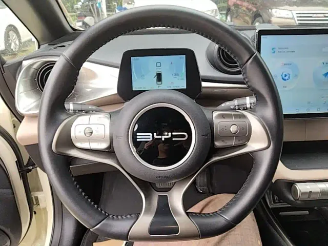 BYD Dolphin — Фото автомобиля 10