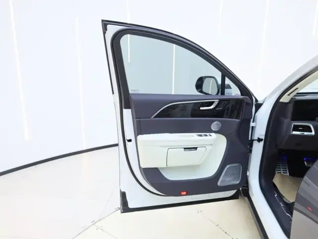 Hongqi E-HS9 — Фото автомобиля 17