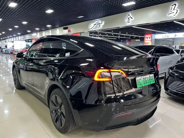 Tesla Model Y — Фото автомобиля 6