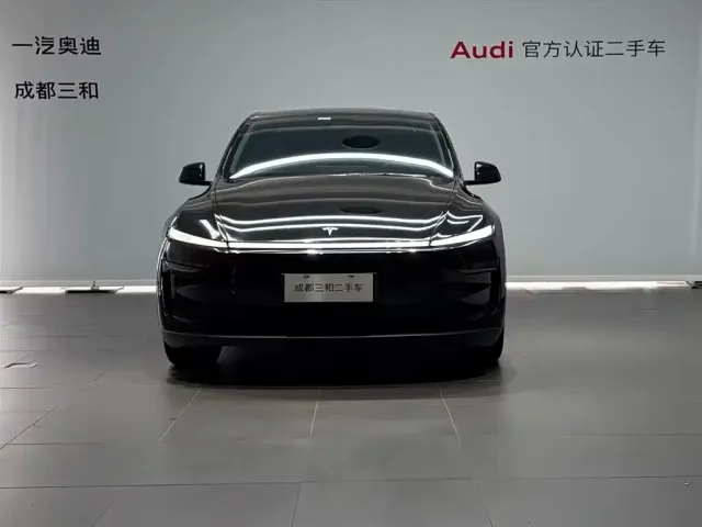 Tesla Model Y — Фото автомобиля 2