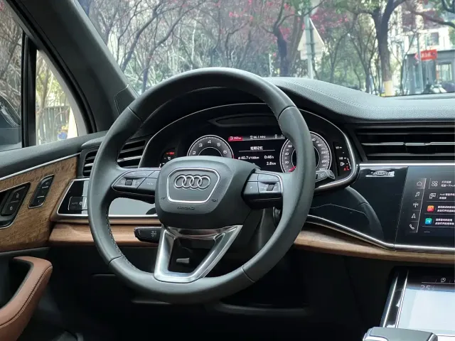 Audi Audi Q7 2023 55 TFSI quattro S line Ice & Snow Sport Edition — Фото автомобиля 16