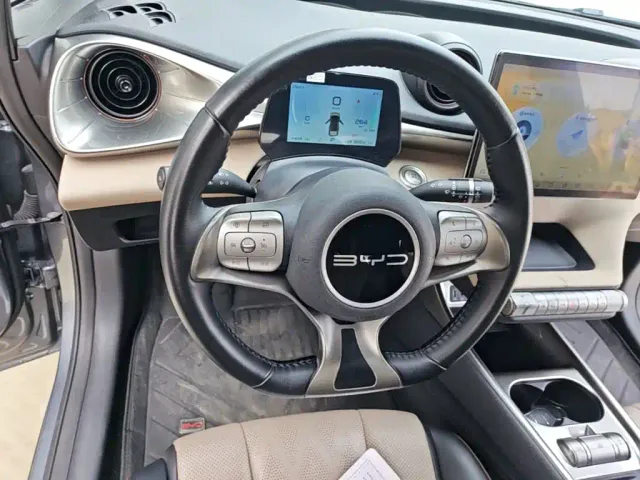 BYD Dolphin 2024 Glory Edition 420km Freedom Edition — Фото автомобиля 10