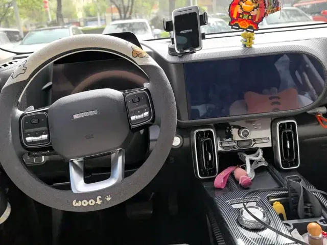 Haval Big Dog — Фото автомобиля 12