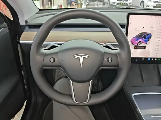Tesla Model Y — Фото автомобиля 10