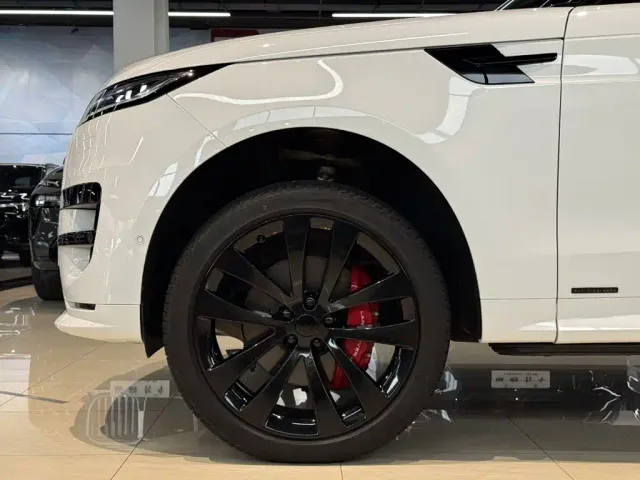 Land Rover Range Rover Sport — Фото автомобиля 6