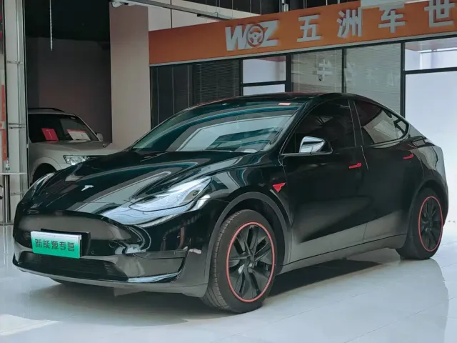 Tesla Model Y — Фото автомобиля 3
