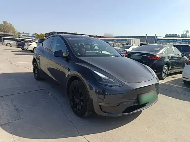 Tesla Model Y — Фото автомобиля 3