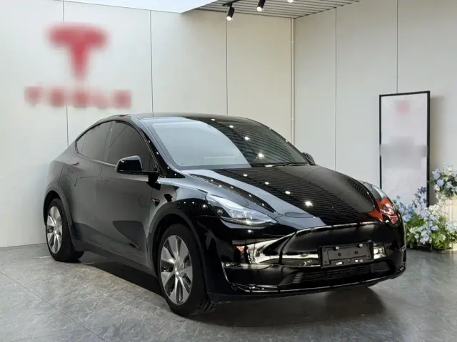 Tesla Model Y — Фото автомобиля 3