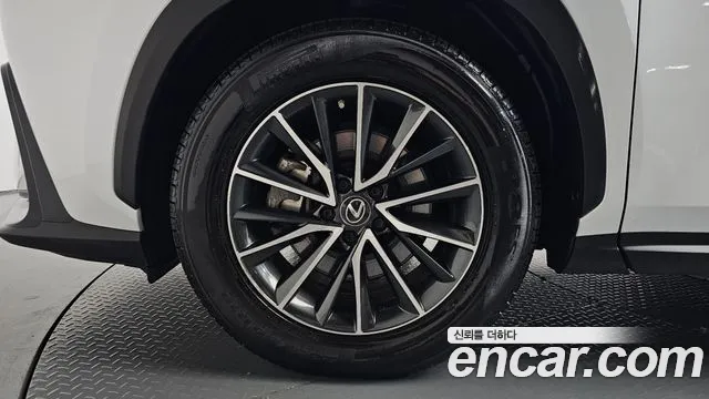 Lexus NX NX450h+ 2nd Gen — Фото автомобиля 5