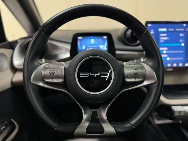 BYD Dolphin — Фото автомобиля 15