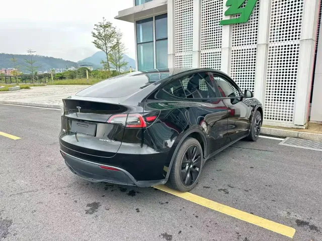 Tesla Model Y — Фото автомобиля 28