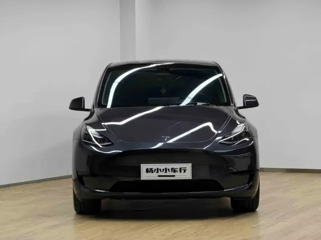 Tesla Model Y — Фото автомобиля 2
