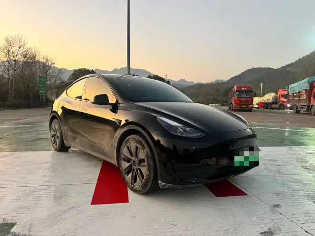 Tesla Model Y — Фото автомобиля 3