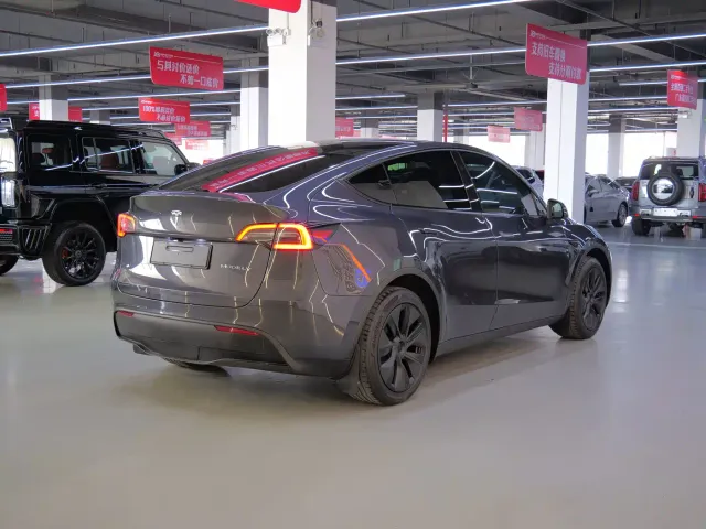 Tesla Model Y — Фото автомобиля 6