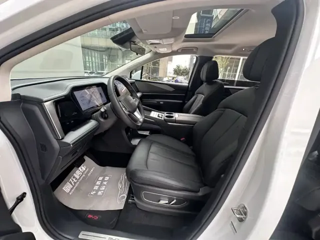BYD M9 — Фото автомобиля 10