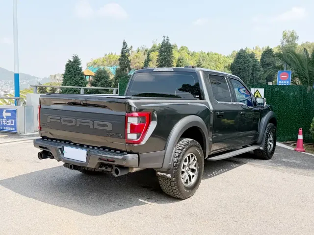 Ford F-150 Raptor — Фото автомобиля 20