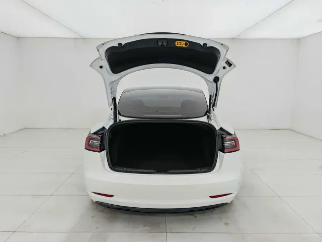 Tesla Model 3 2022 Performance High-Performance AWD — Фото автомобиля 18