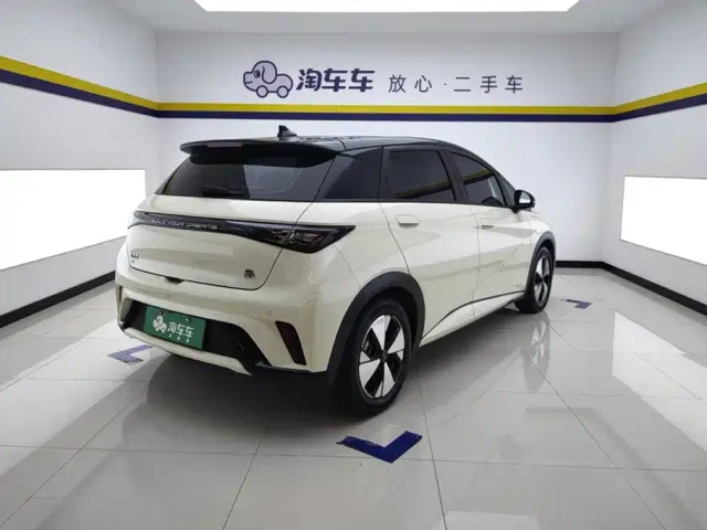 BYD Dolphin — Фото автомобиля 3