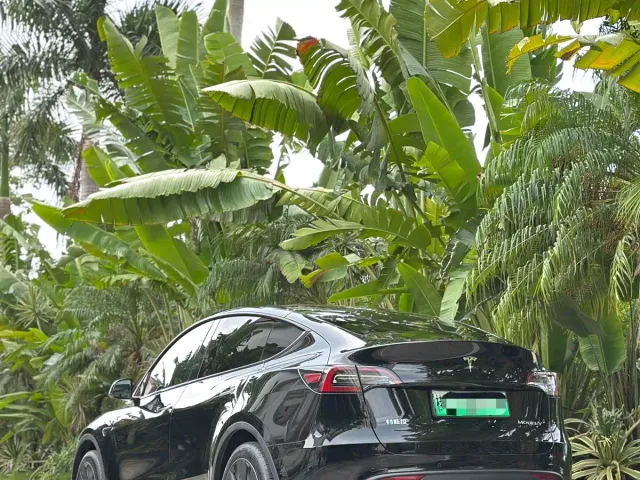 Tesla Model Y — Фото автомобиля 8