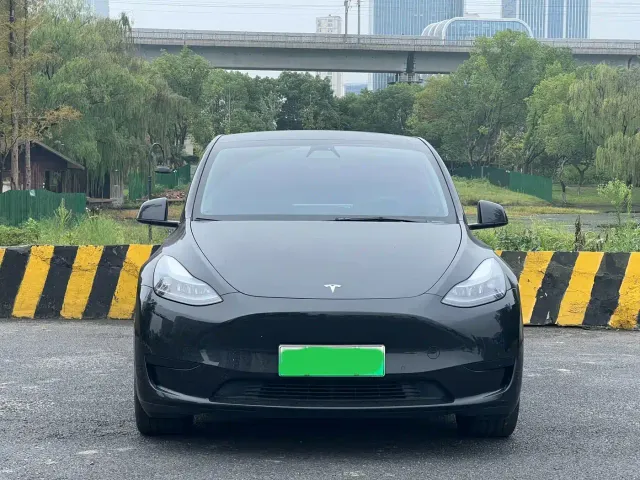 Tesla Model Y — Фото автомобиля 2