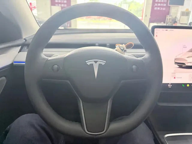 Tesla Model Y — Фото автомобиля 11