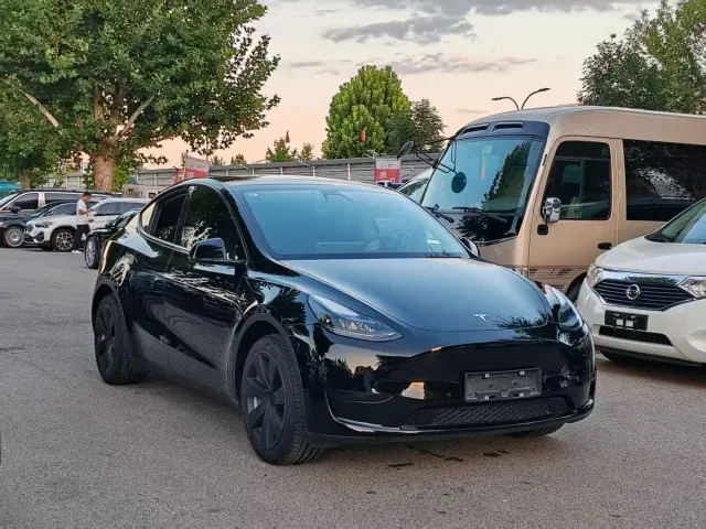 Tesla Model Y — Фото автомобиля 3