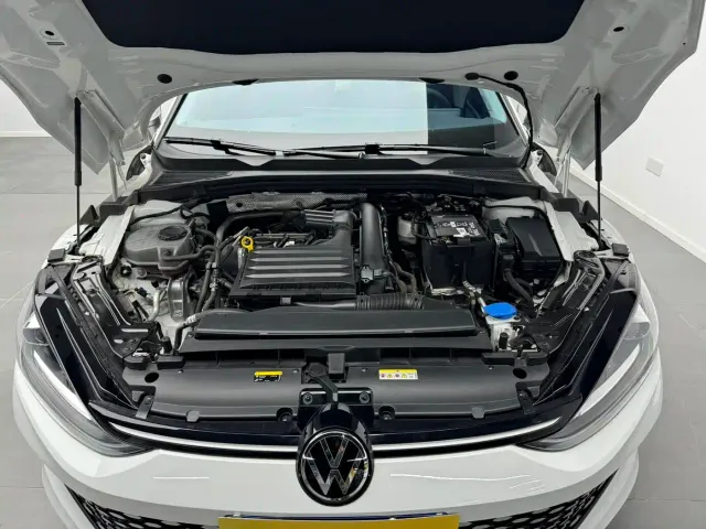 Volkswagen Lamando — Фото автомобиля 17