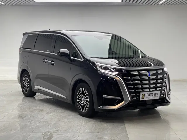 Denza Denza D9 2024 DM-i 1050 Premium — Фото автомобиля 3