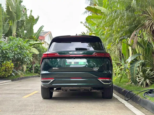Wey Lanshan — Фото автомобиля 4