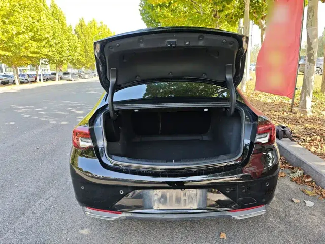 Buick Regal — Фото автомобиля 18
