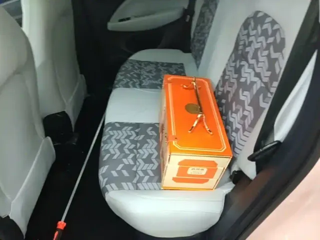 Leapmotor Leapmotor T03 2022 Star Diamond Edition — Фото автомобиля 16