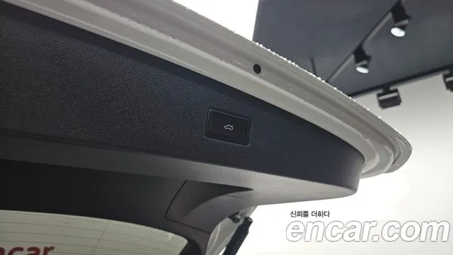 Volkswagen Tiguan Tiguan 2 поколение 2.0 TDI Premium — Фото автомобиля 19