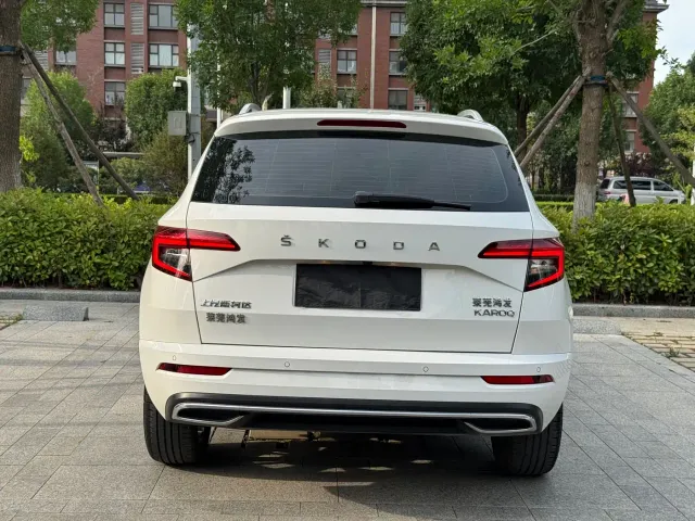 Skoda Karoq — Фото автомобиля 9