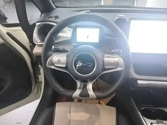 BYD Dolphin — Фото автомобиля 6