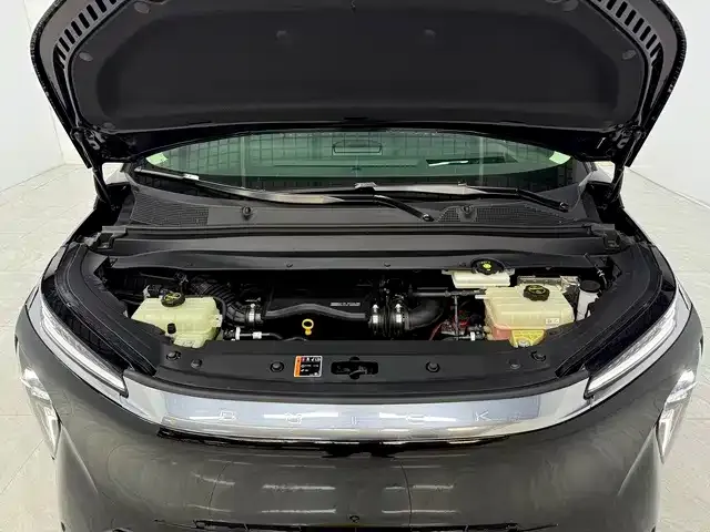 Buick Zhijing Shijia — Фото автомобиля 14