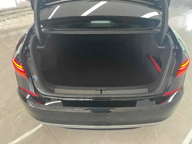 Volkswagen Passat — Фото автомобиля 12