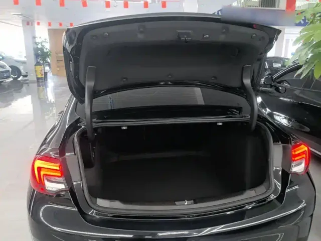 Buick Regal — Фото автомобиля 18