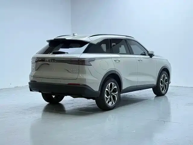 Haval Xiaolong MAX — Фото автомобиля 8