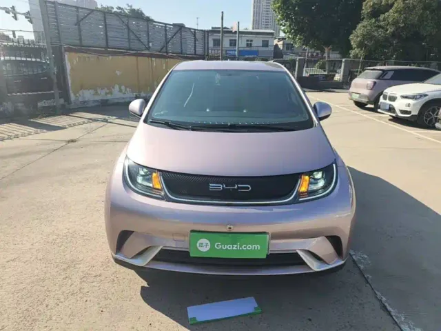 BYD Dolphin — Фото автомобиля 2