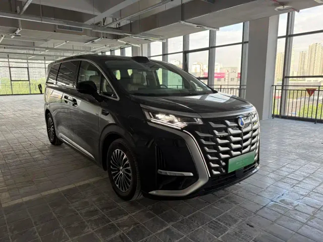 Denza D9 — Фото автомобиля 3