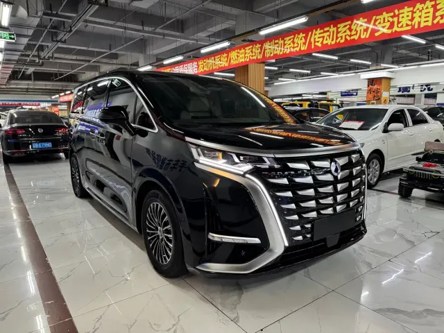 Denza Denza D9 2022 DM-i 970 AWD Flagship — Фото автомобиля 3