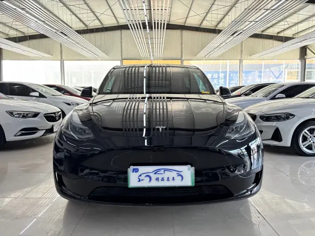 Tesla Model Y — Фото автомобиля 2