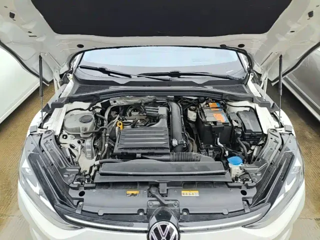 Volkswagen Lamando — Фото автомобиля 19