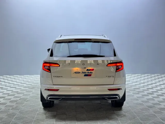 Skoda Karoq — Фото автомобиля 5