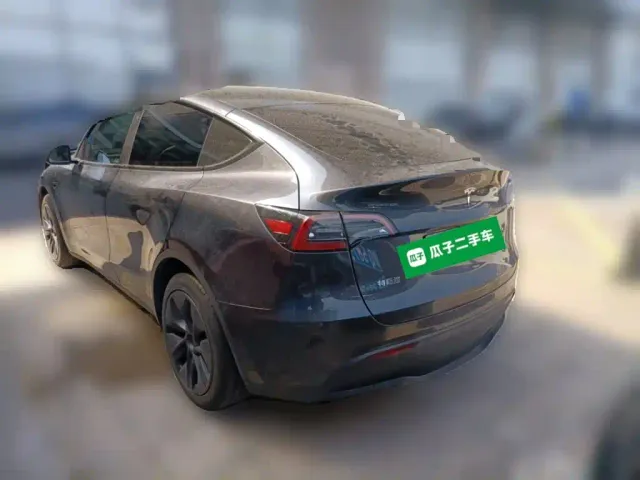 Tesla Model Y — Фото автомобиля 4