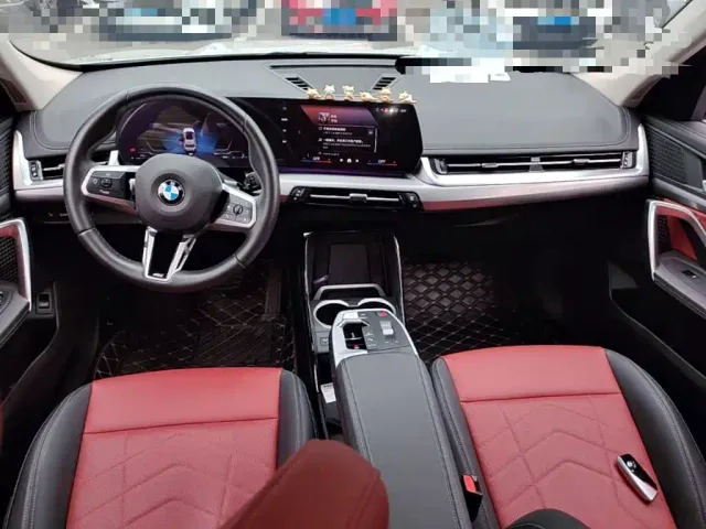 BMW X1 — Фото автомобиля 9