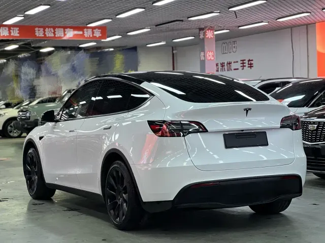 Tesla Model Y — Фото автомобиля 7