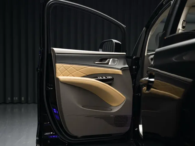Denza D9 — Фото автомобиля 17
