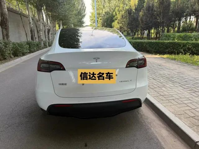 Tesla Model Y — Фото автомобиля 9