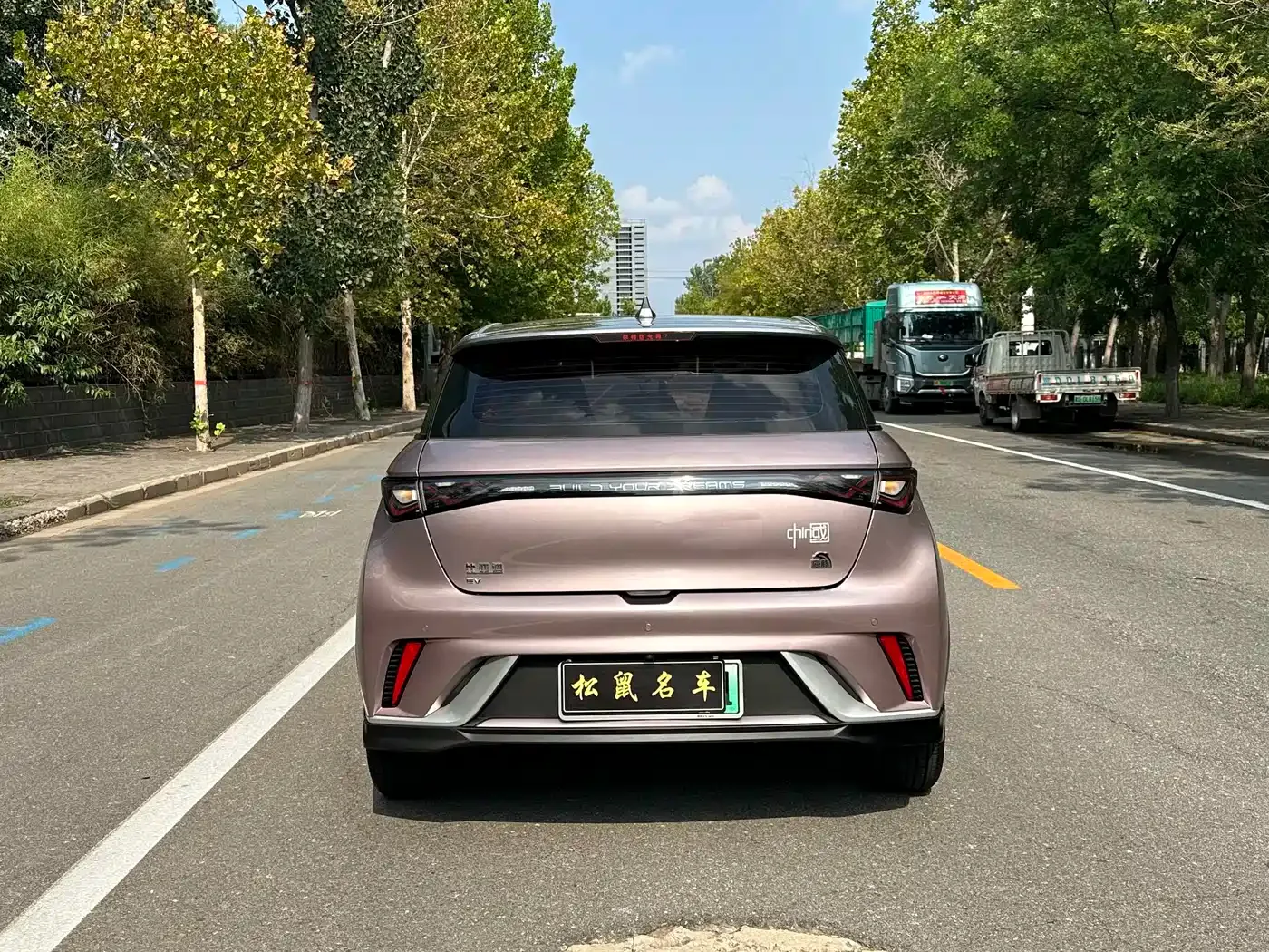 BYD Dolphin 2021 401km Knight Edition — Фото автомобиля 8